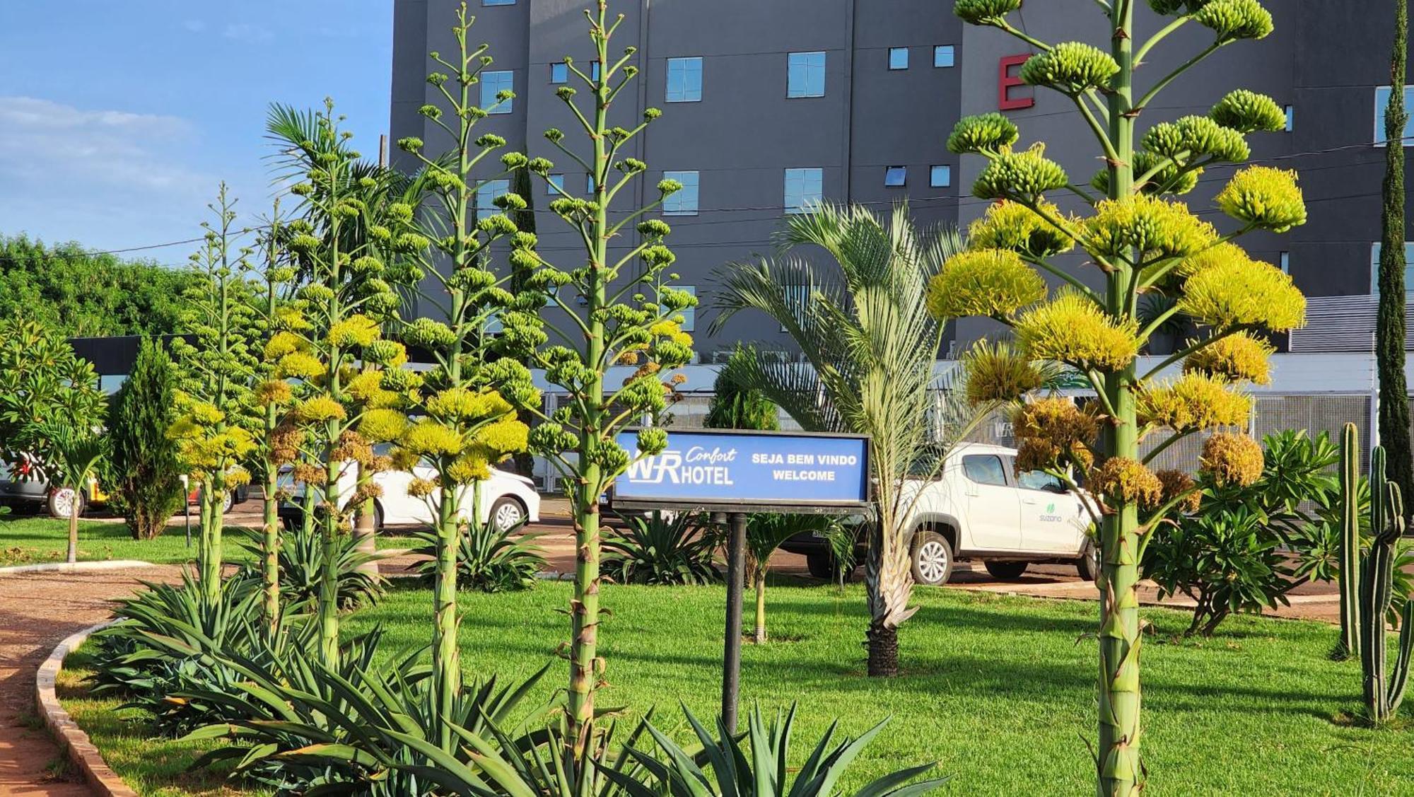 Wr Confort Hotel Campo Grande 外观 照片